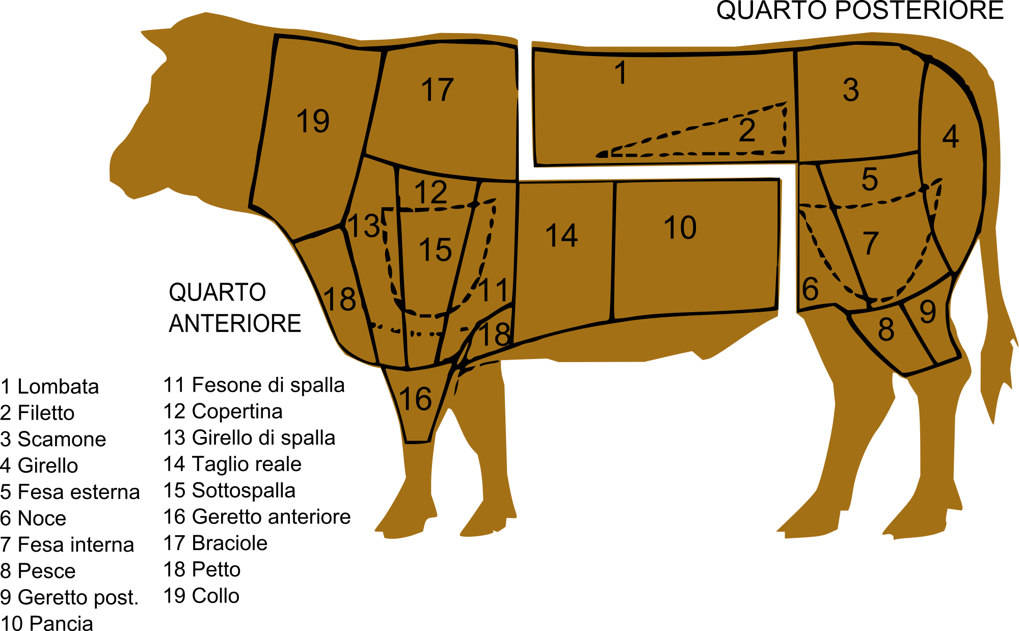 2000px-Tagli_bovino_svg