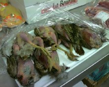 dyn001_original_617_494_pjpeg_2512533_b5b2acbc8ec9efc510a2334297c9347d