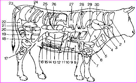 Résultats de la recherche dimage Google à partir de http--www aliments org-ali004_bd gif