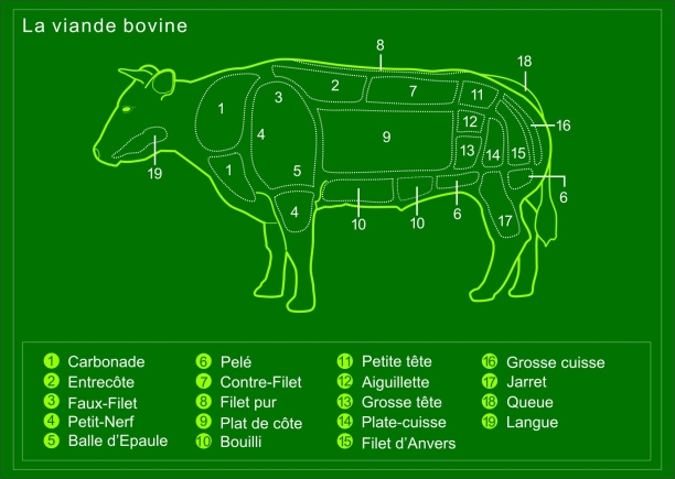 boeuf_decoupe_vert