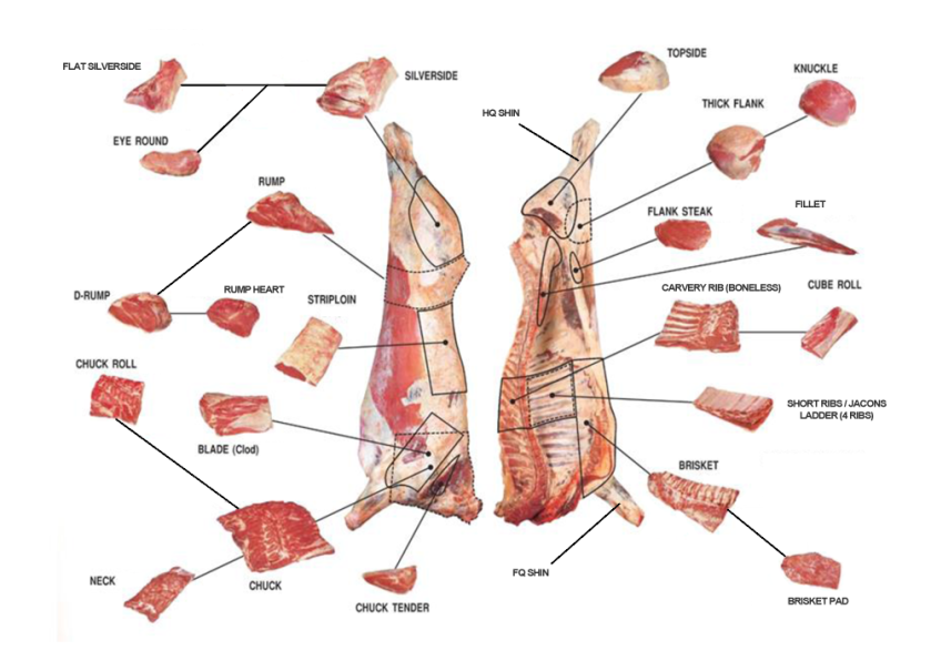 beef-cuts-chart