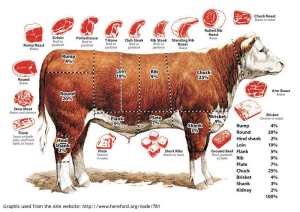 Les parties du Boeuf – Passion-Cuisine