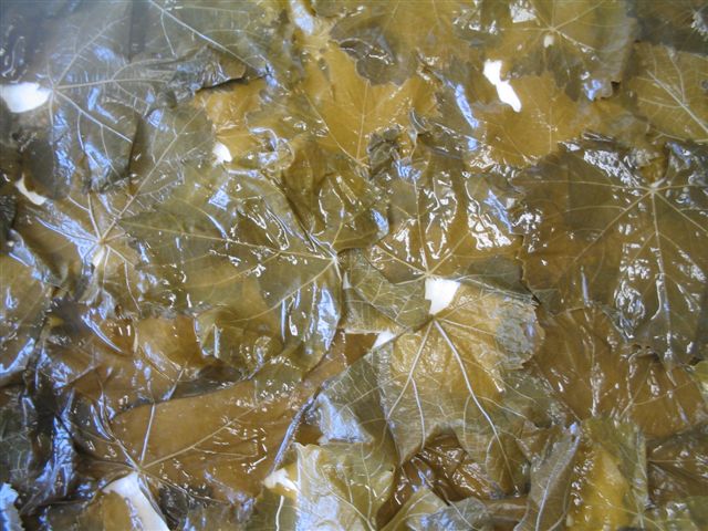 soir&eacute;e Grecque 001