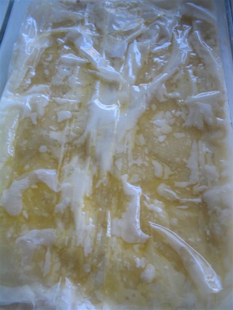 soir&eacute;e Grecque 021