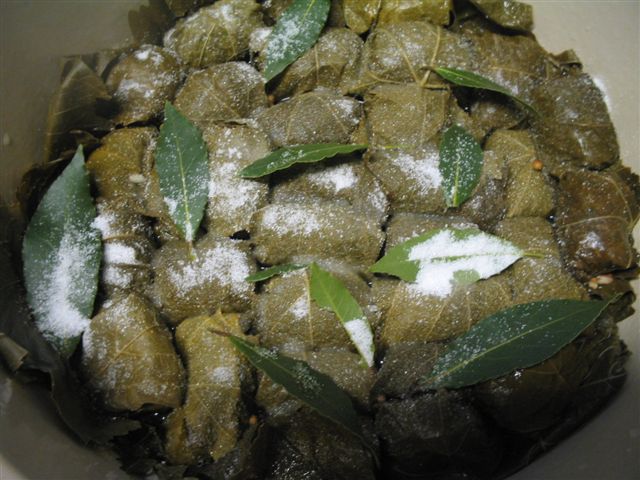 soir&eacute;e Grecque 011