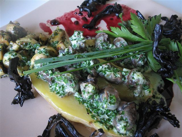 la semaine du 7-4-08 jusqu'au 13-4-08 037