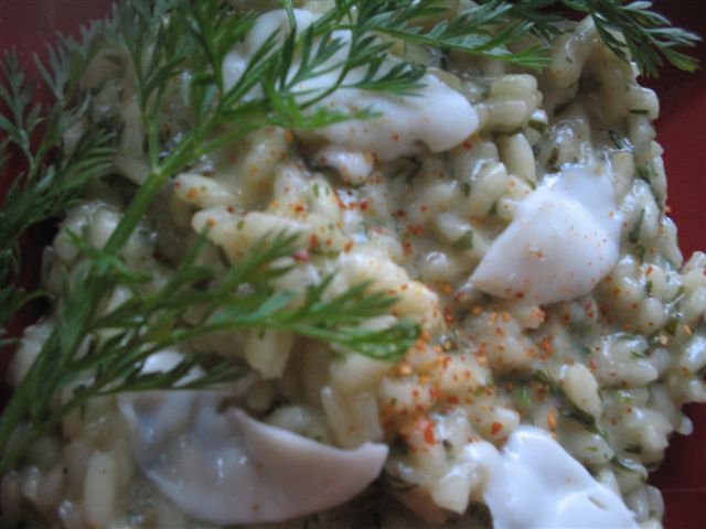 photos de moi ((((((et maman))))) 031