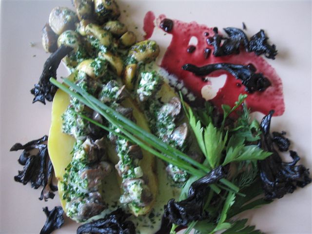 la semaine du 7-4-08 jusqu'au 13-4-08 036