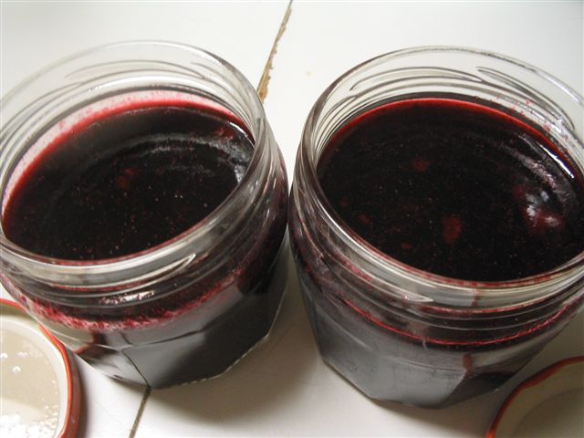 moii quii chante 001