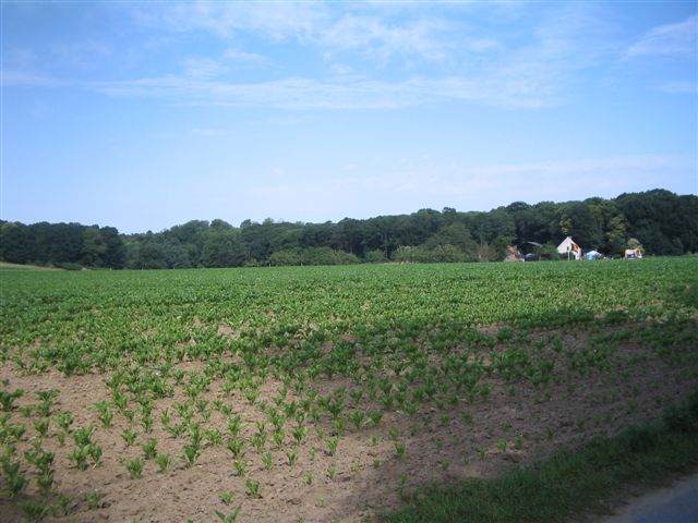 schoolfeest+ fermes 029