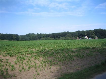 schoolfeest+ fermes 029