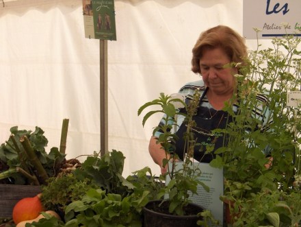 Fouron St-Martin 24-08-2008 004