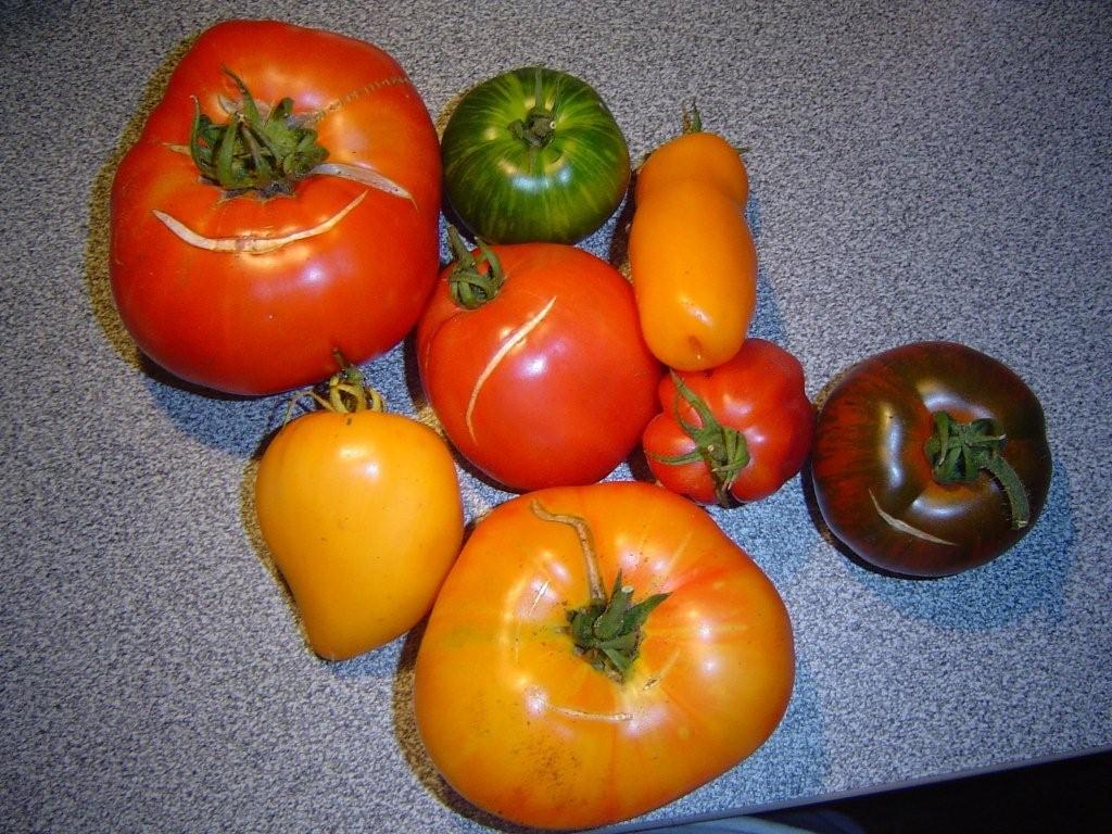 pomone 001