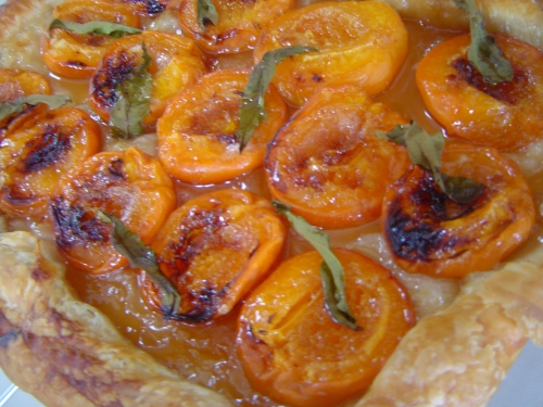 ABRICOTS VERVEINE 018.JPG