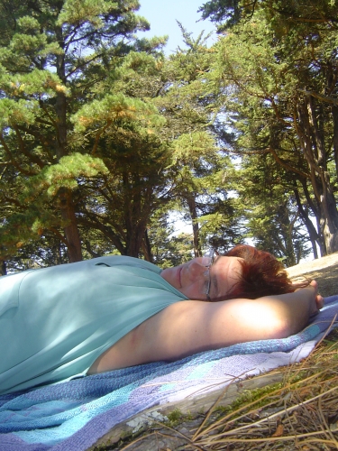 VACANCES BRETAGNE 2010 100.JPG