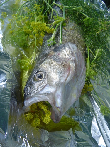 VACANCES BRETAGNE 2010 008.JPG