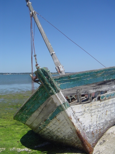 VACANCES BRETAGNE 2010 120.JPG