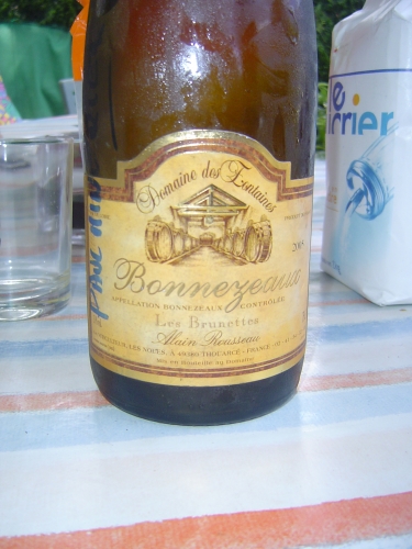 VACANCES BRETAGNE 2010 194.JPG