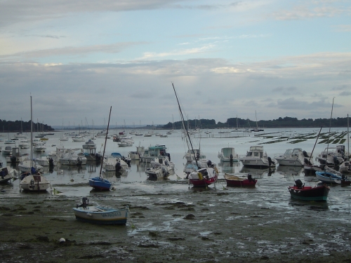 VACANCES BRETAGNE 2010 205.JPG