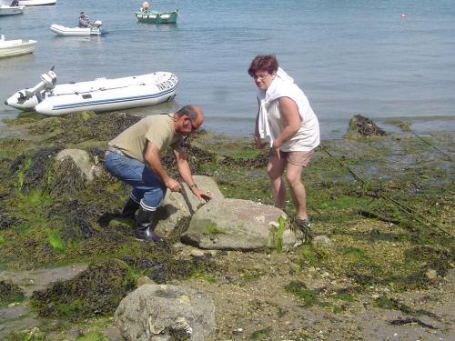 VACANCES BRETAGNE 2010 002.JPG