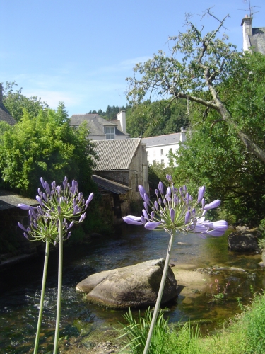 VACANCES BRETAGNE 2010 165.JPG