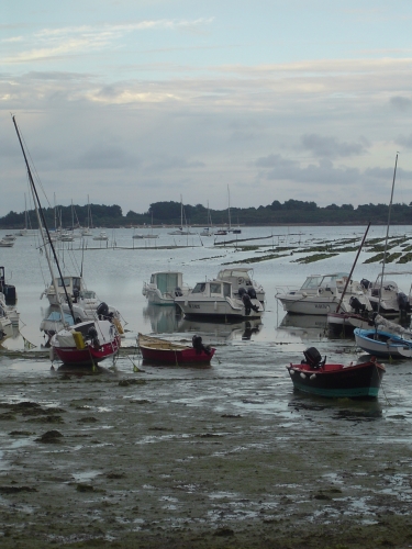 VACANCES BRETAGNE 2010 206.JPG