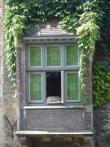 VACANCES BRETAGNE 2010 242.JPG