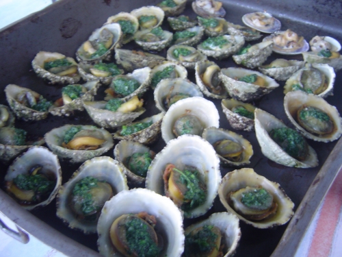 VACANCES BRETAGNE 2010 016.JPG