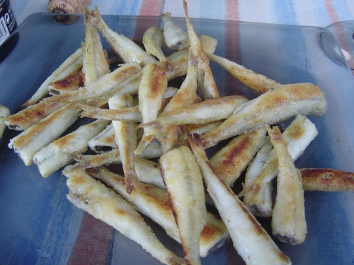 VACANCES BRETAGNE 2010 014.JPG