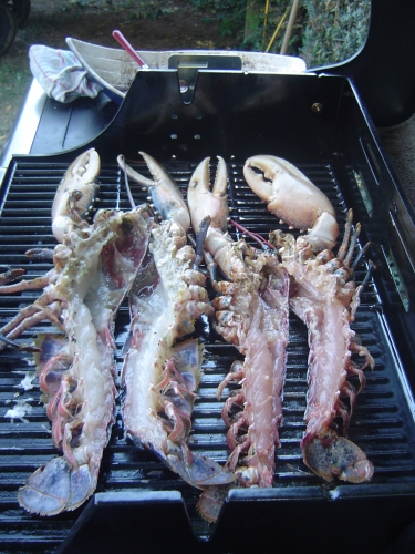 VACANCES BRETAGNE 2010 079.JPG