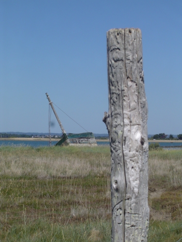 VACANCES BRETAGNE 2010 118.JPG