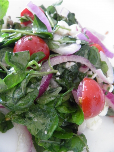 Anchois, Cresson, Tomates Cerises, Olives Noires, Feta, Ciboulette, Oignon Rouge 