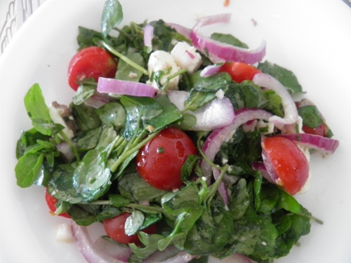 Anchois, Cresson, Tomates Cerises, Olives Noires, Feta, Ciboulette, Oignon Rouge 