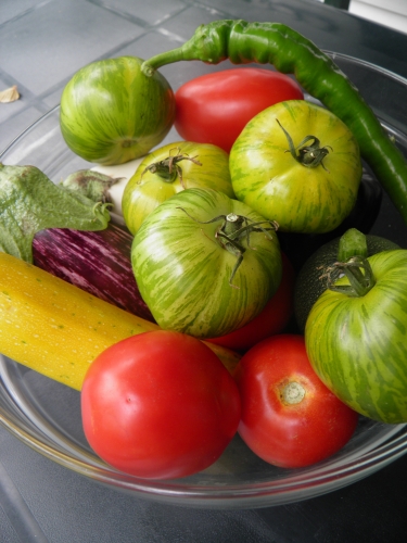 aubergines,courgettes,tomates,green zebra,poivron vert,piment vert doux,oignons,courgette jaune,poivron noir,courgette ronde,mélange d'epices regal du sud-ouest,vinaigre de cidre,purée de piment d'espelette,miel toutes fleurs,vin blanc sec,merguez