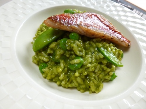 riz arborio,fèves des marais,petits pois,haricots mange-tout,epinards,menthe,coriandre,persil plat,vin blanc,bouillon de volaille,echalote,parmesan,rouget,citron