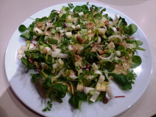 fromage ibérique,salade de blé,chicons,noix,feuilles de betterave,cerfeuil,jets de betterave,huile de colza,worcestershire,miel,moutarde,bister,ail,vinaigre de vin rouge,vinaigre de vin blanc,céleri,crème epaisse