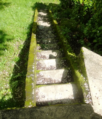 P1030014.JPG