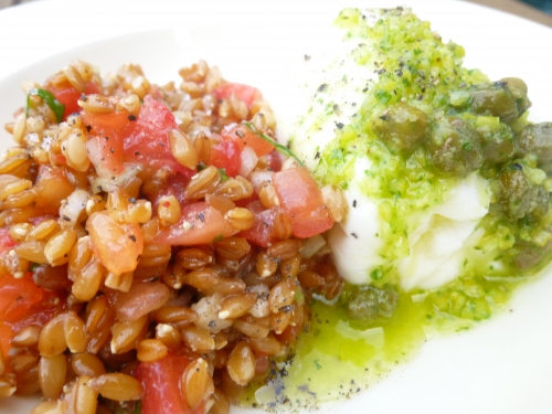 petit epeautre,tomates,oignon nouveau,basilic,citron,huile d'olive,ail,câpres,fleur de sel,burrata