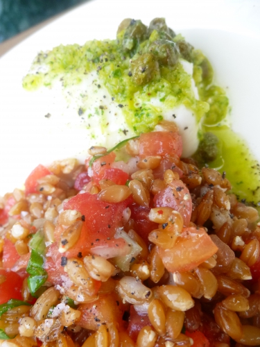 petit epeautre,tomates,oignon nouveau,basilic,citron,huile d'olive,ail,câpres,fleur de sel,burrata