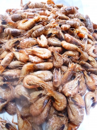 skrei,crevettes grises,bouillon de volaille,riz carnarolli,echalote,vin blanc sec,parmesan,crème epaisse,citron,granny smith,gomme xanthane,yaourt grec,ail,cresson de fontaine,arachides,amandes,pourpier