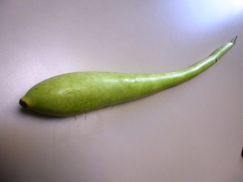 dorade,courge sicilienne,huile d'olive,basilic thaï,beurre,bouillon de volaille,vin blanc sec,citronelle,gingember,piment thaï,coriandre,citron vert,vinaigre de riz,sauce soja,nuoc nam,huile de sésame,echalotte