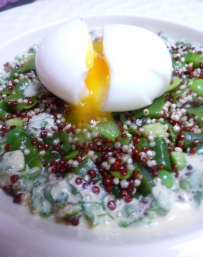 Quinoa Blanc, Quinoa Rouge, Haricots Princesses, Haricots Plats, Haricots Gourmands, Petits Pois, Fèves des Marais, Concombre, Moutarde, Oeufs, Vinaigre de Vin Rouge, Huile de Tournesol, Huile d'Olive, Cerfeuil, Ail, Yaourt 