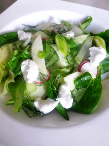 salade de blé,pourpier,aneth,concombre,granny smith,pomme,ail,yaourt,citron,huile d'avocat,huile d'olive,radis,chourave