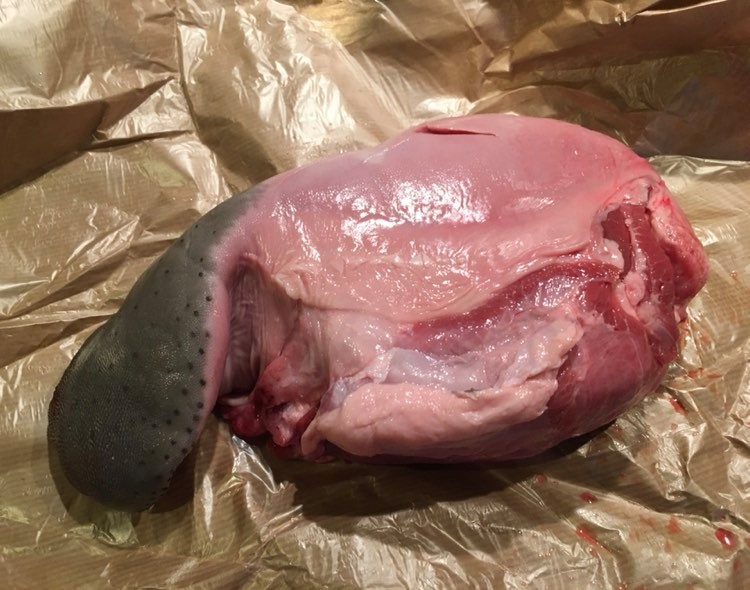 245322227_291104205992456_8808906184033666361_n