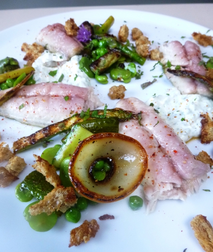 maquereau,pain de campagne,citron,citron vert,piment d'espelette,huile d'olive,fèves,petits pois,asperges vertes,concombres,yaourt grec,menthe,estragon,citronelle,ciboulette,oignon,cerfeuil,fleur de sel,fond de volaille