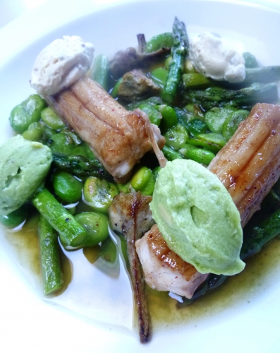 roussette,fèves des marais,asperges vertes,artichauts,chèvre frais,moutarde au miel,avocat,huile d'olive,jus de citron,livèche,estragon,persil,oseille,epinards,sauge,coriandre,coriandre en grains,anis etoilé,anis,canelle,vinaigre de vin rouge,fumet de poisson,fond de volaille blanc,poivre noir,miel,sauce soja,graines de fenouil,feuilles de citronelle