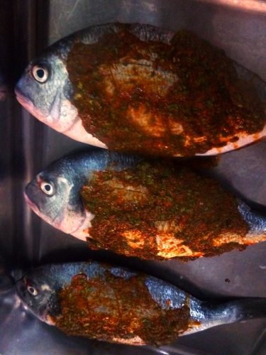 pommes de terre,huile d'olive,sel,poivre,gros sel,dorade,paprika doux,paprika fort,cumin,coriandre,persil plat,ail,citron,safran,fenouil,courgette jaune,tomates,green zebra,olives noires,fraises,piment d'espelette,fleur d'huile d'olive,poudre serenissima,roëllinger