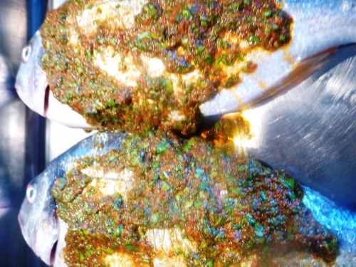 pommes de terre,huile d'olive,sel,poivre,gros sel,dorade,paprika doux,paprika fort,cumin,coriandre,persil plat,ail,citron,safran,fenouil,courgette jaune,tomates,green zebra,olives noires,fraises,piment d'espelette,fleur d'huile d'olive,poudre serenissima,roëllinger