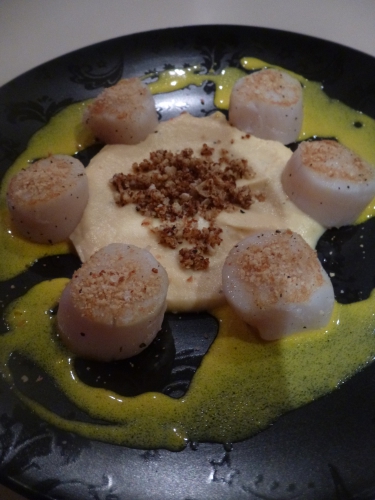 choufleur,mimolette,crème,lait,beurre,bouillon de volaille,citron,noisettes,fleur de sel,coquilles st jacques,mycrio,citron vert,echalotes,safran,curcuma,vin blanc sec,noilly prat,fumet de poisson