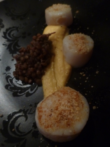 Coquilles St Jacques, Noisettes, Sel, Panais, Mimolette, Lentilles, Vinaigre de Xères, Espresso, Jambon de Bayonne, Crème, Lait, Bouillon de Volaille, Oignon Rouge, Girofle, Baies de Genièvre, Carotte, Céleri, Ail, Bouquet Garni, Mycrio, Citron Vert